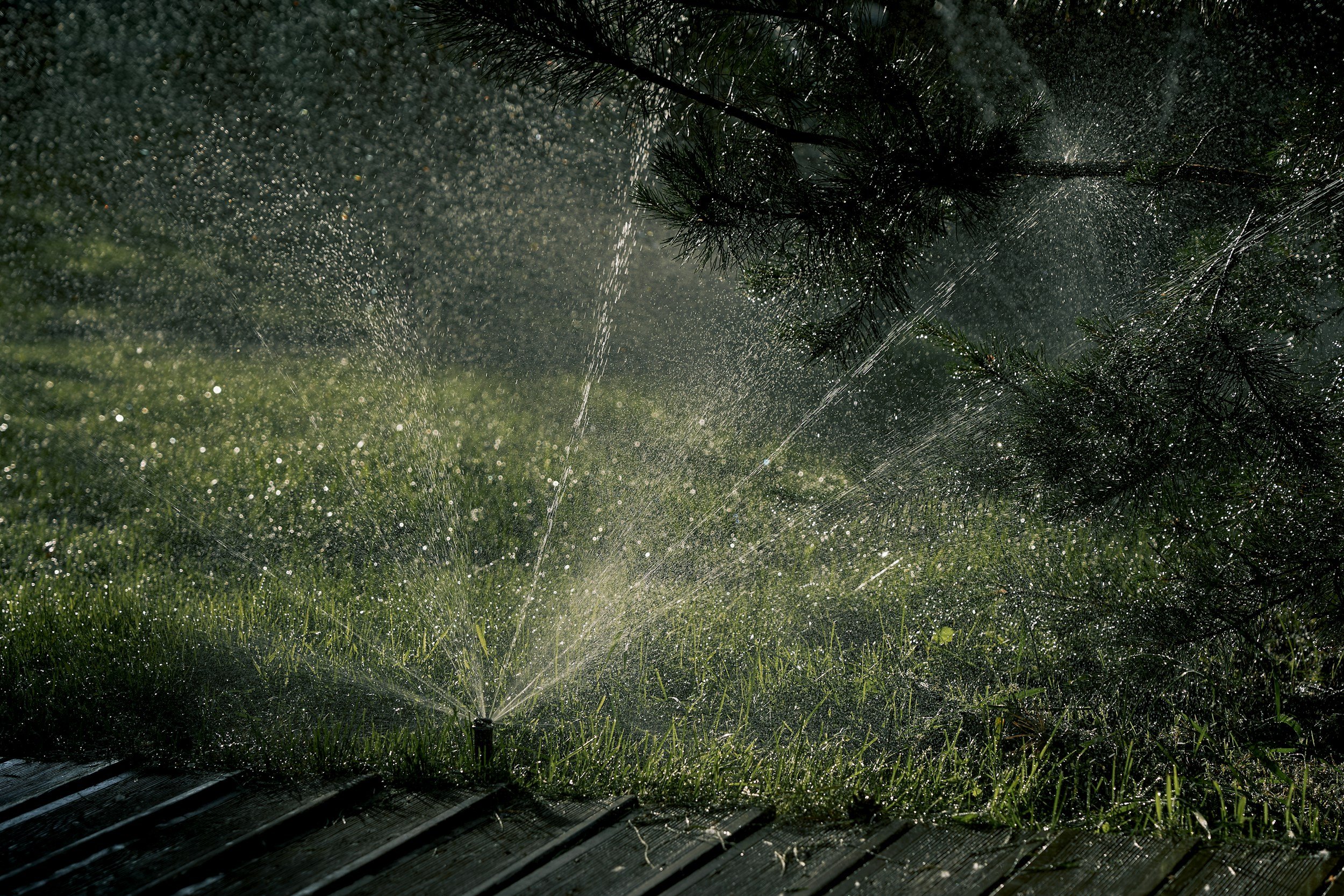 Sprinkler system installation with professional technician working on irrigation lines